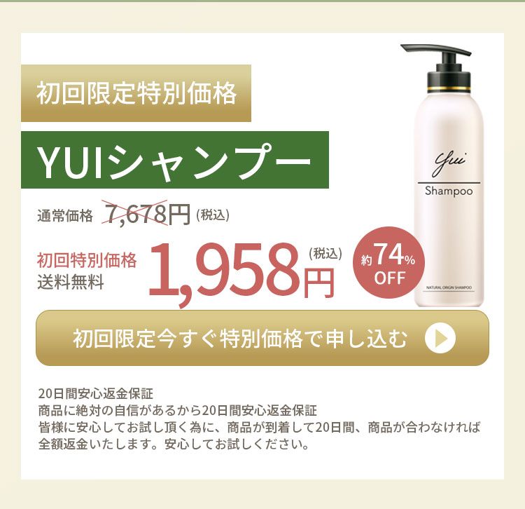 ボタン付き